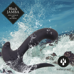 Plug Anal Vibrant Télécommandé Black Jamba