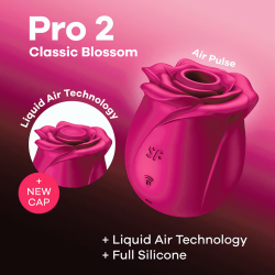 Satisfyer Pro 2 Classic Blossom Rose